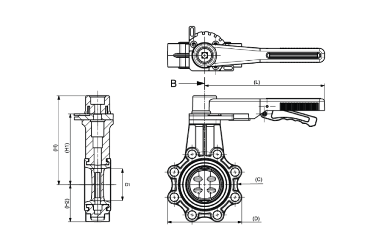 Butterfly-Valve-5