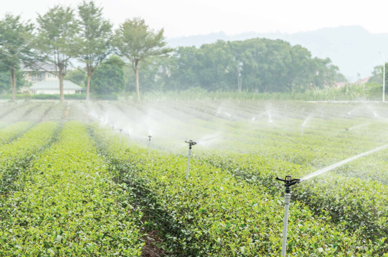 Mini-Sprinkler-Nozzle-4