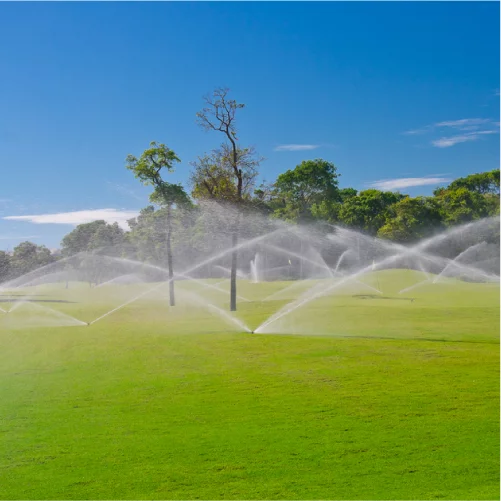 Landscape Irrigation